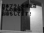 大津市の（株）日本プラム大津支店